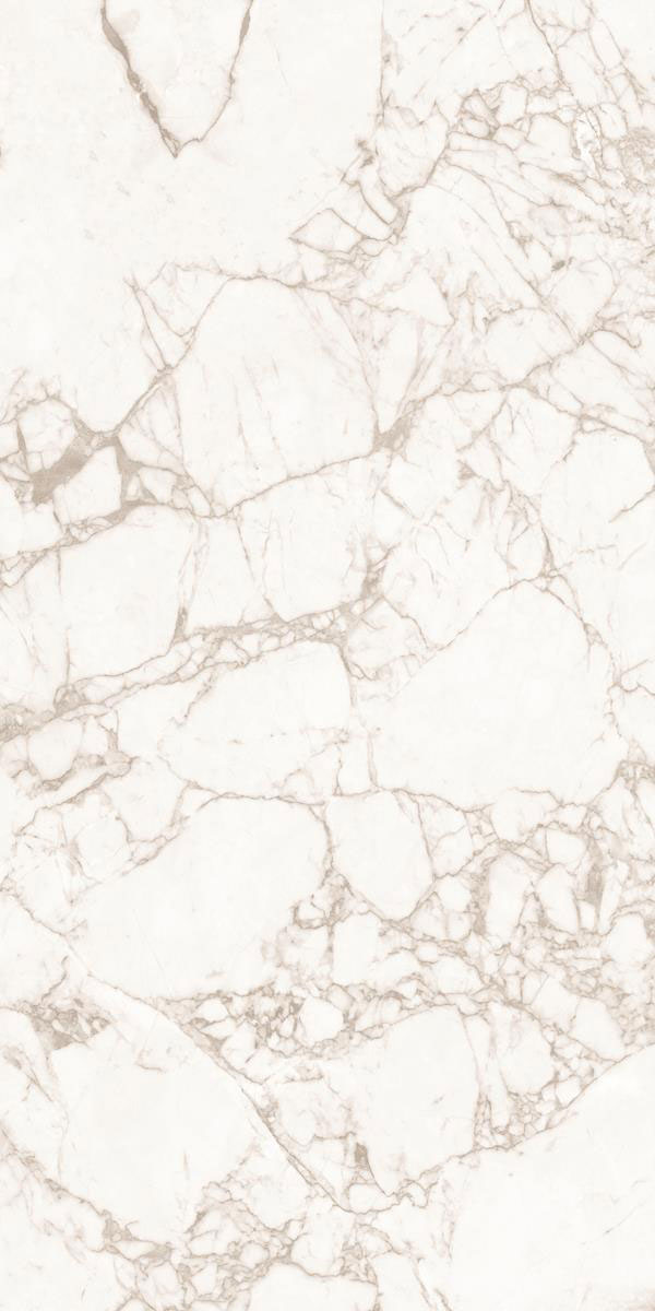 KATNI BIANCO P4